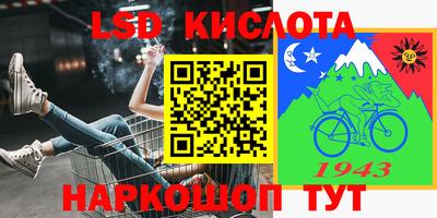 крисы Лесосибирск