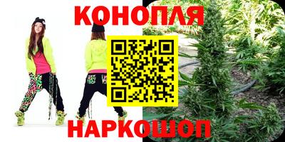 крисы Лесосибирск